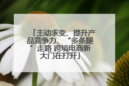 主动求变、提升产品竞争力、“多条腿”走路 跨境电商新大门在打开