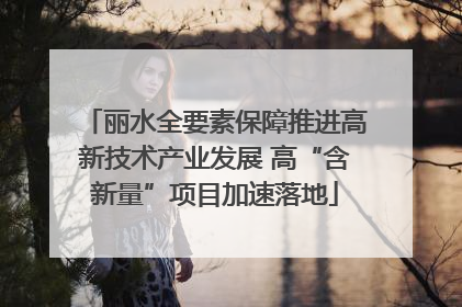 丽水全要素保障推进高新技术产业发展 高“含新量”项目加速落地