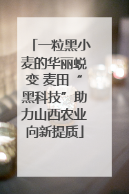 一粒黑小麦的华丽蜕变 麦田“黑科技”助力山西农业向新提质