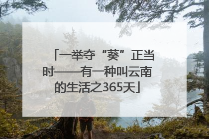 一举夺“葵”正当时——有一种叫云南的生活之365天