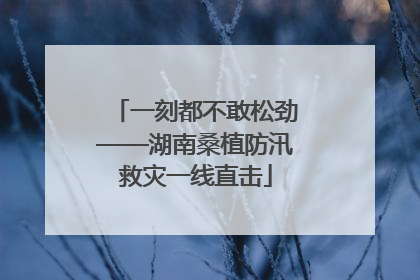 一刻都不敢松劲——湖南桑植防汛救灾一线直击