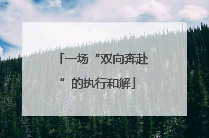 一场“双向奔赴”的执行和解