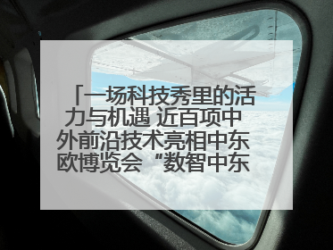 一场科技秀里的活力与机遇 近百项中外前沿技术亮相中东欧博览会“数智中东欧”板块