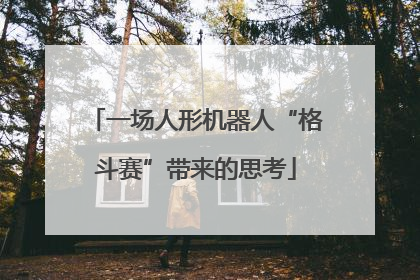 一场人形机器人“格斗赛”带来的思考