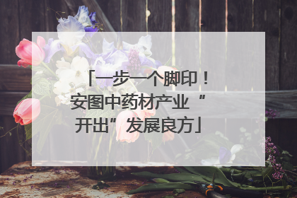 一步一个脚印！安图中药材产业“开出”发展良方