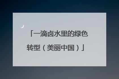 一滴卤水里的绿色转型（美丽中国）