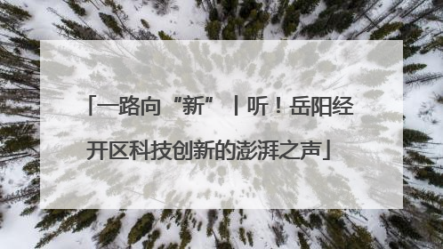 一路向“新”丨听！岳阳经开区科技创新的澎湃之声