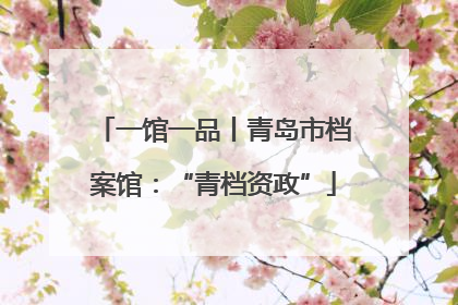 一馆一品丨青岛市档案馆：“青档资政”