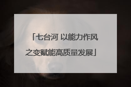 七台河 以能力作风之变赋能高质量发展