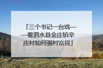 三个书记一台戏——看泗水县金庄镇辛庄村如何强村富民