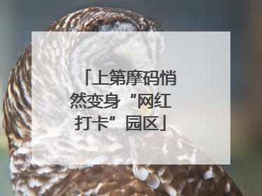 上第摩码悄然变身“网红打卡”园区