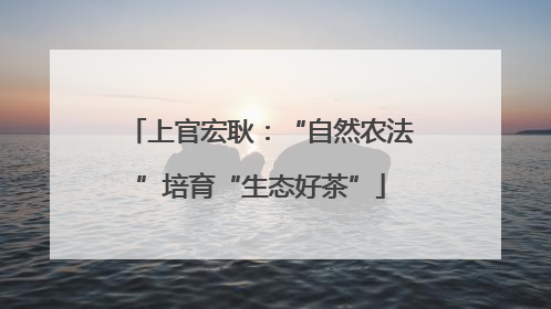 上官宏耿：“自然农法”培育“生态好茶”