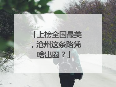 上榜全国最美，沧州这条路凭啥出圈？