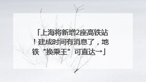 上海将新增2座高铁站！建成时间有消息了，地铁“换乘王”可直达→