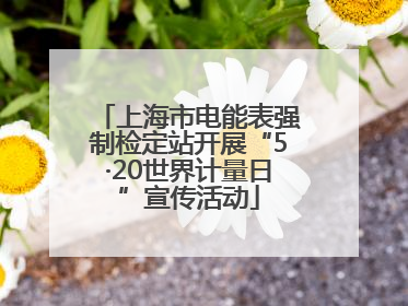 上海市电能表强制检定站开展“5·20世界计量日”宣传活动