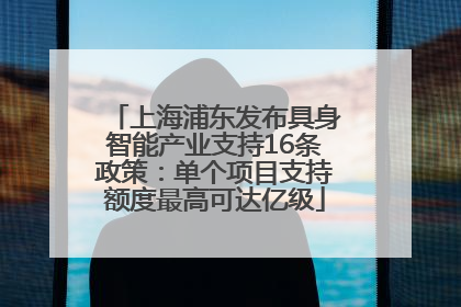 上海浦东发布具身智能产业支持16条政策：单个项目支持额度最高可达亿级