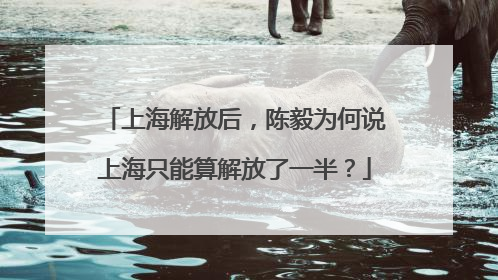 上海解放后，陈毅为何说上海只能算解放了一半？
