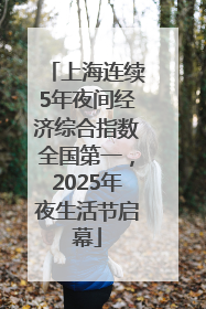 上海连续5年夜间经济综合指数全国第一，2025年夜生活节启幕