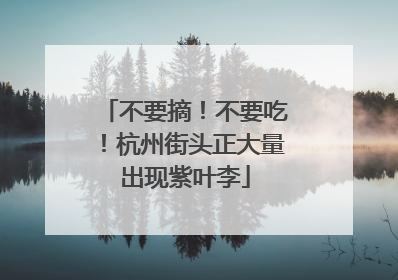 不要摘！不要吃！杭州街头正大量出现紫叶李