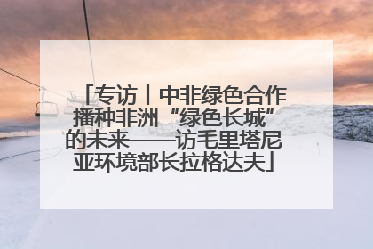 专访丨中非绿色合作播种非洲“绿色长城”的未来——访毛里塔尼亚环境部长拉格达夫