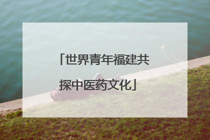 世界青年福建共探中医药文化