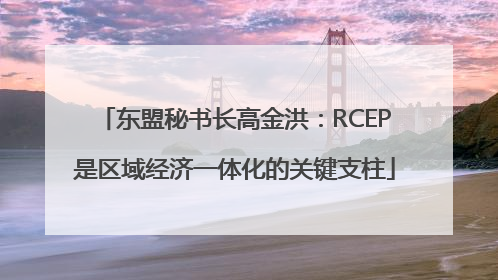 东盟秘书长高金洪：RCEP是区域经济一体化的关键支柱