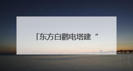 东方白鹳电塔建“产房” “陕电入皖”架线延工期