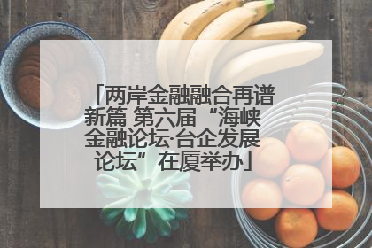 两岸金融融合再谱新篇 第六届“海峡金融论坛·台企发展论坛”在厦举办