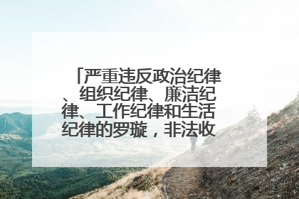 严重违反政治纪律、组织纪律、廉洁纪律、工作纪律和生活纪律的罗璇，非法收受他人巨额财物