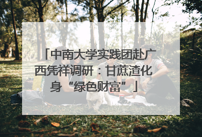 中南大学实践团赴广西凭祥调研：甘蔗渣化身“绿色财富”