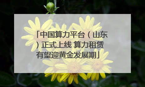 中国算力平台（山东）正式上线 算力租赁有望迎黄金发展期