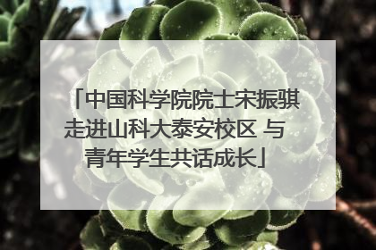 中国科学院院士宋振骐走进山科大泰安校区 与青年学生共话成长