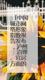 中国城市网络形象指数报告发布,泸州:治理、宜居方面的双优典范
