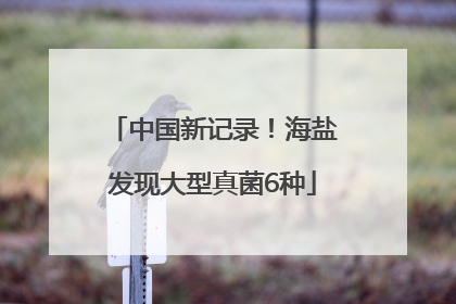 中国新记录！海盐发现大型真菌6种