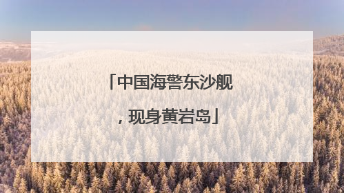 中国海警东沙舰，现身黄岩岛