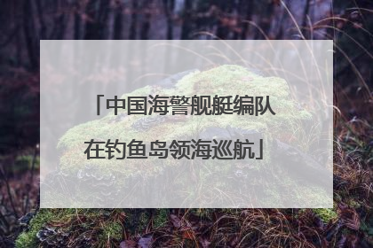 中国海警舰艇编队在钓鱼岛领海巡航