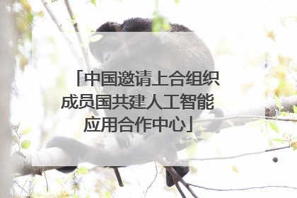 中国邀请上合组织成员国共建人工智能应用合作中心
