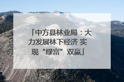 中方县林业局：大力发展林下经济 实现“绿富”双赢