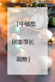 中核集团董事长调整