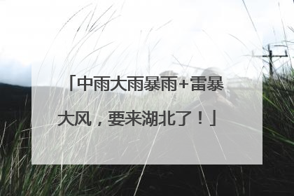 中雨大雨暴雨+雷暴大风，要来湖北了！