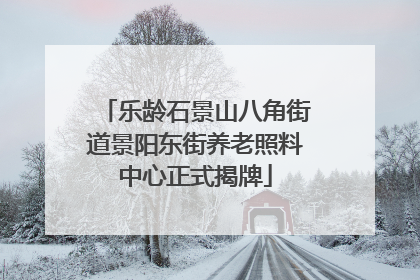 乐龄石景山八角街道景阳东街养老照料中心正式揭牌