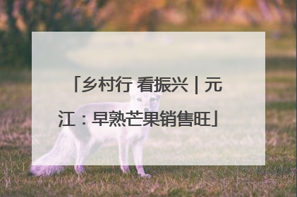 乡村行 看振兴｜元江：早熟芒果销售旺