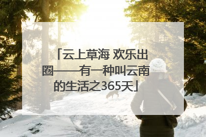 云上草海 欢乐出圈——有一种叫云南的生活之365天