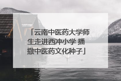 云南中医药大学师生走进西冲小学 播撒中医药文化种子