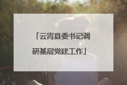 云霄县委书记调研基层党建工作