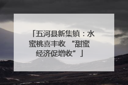 五河县新集镇：水蜜桃喜丰收 “甜蜜经济促增收”