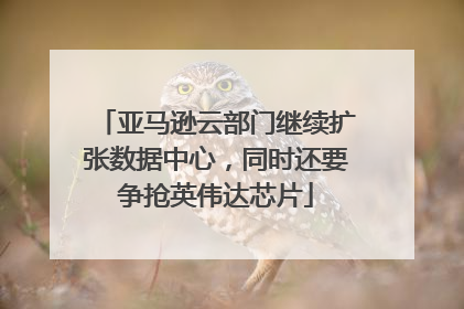 亚马逊云部门继续扩张数据中心，同时还要争抢英伟达芯片