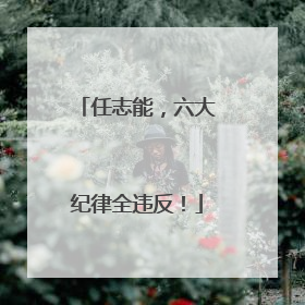 任志能，六大纪律全违反！