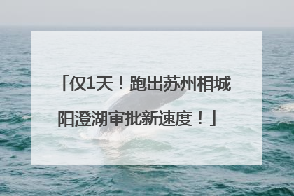 仅1天！跑出苏州相城阳澄湖审批新速度！