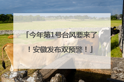 今年第1号台风要来了！安徽发布双预警！